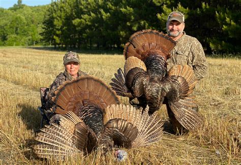 Put Asterisk by 2020 Alabama Turkey Season | Outdoor Alabama