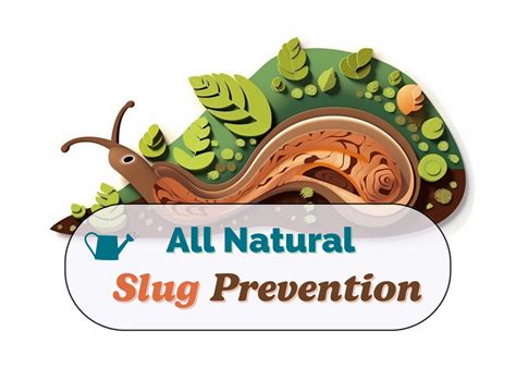 Natural Slug Prevention - Seeded Garden