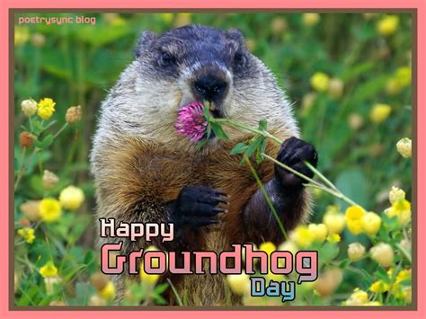 Groundhog Day Quotes. QuotesGram