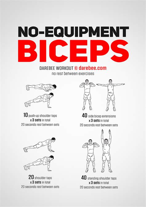 No-Equipment Biceps Workout | Biceps workout, Biceps workout at home, Back and bicep workout