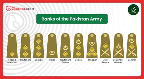 A Complete Guide to Navy, Air Force and Army Ranks Pakistan (2023)