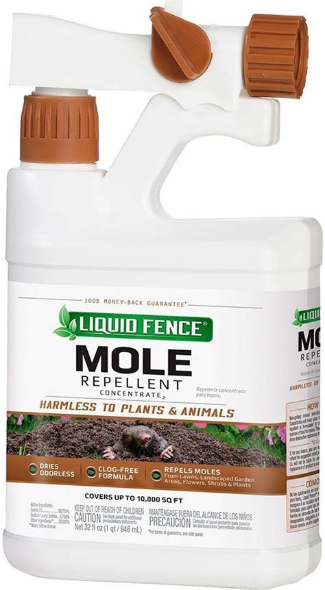 Voles Causing Problems in Your Yard? Choose the Right Vole Repellent ...