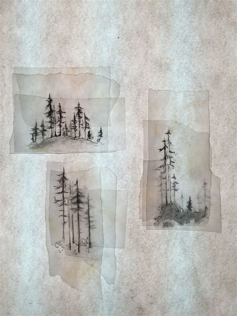 Forest illustrations created using layers of tracing paper- Eleanor ...