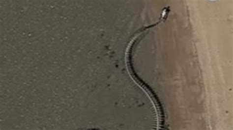 'Giant Snake Skeleton' Spotted on Google Maps? Truth Behind Viral Photo ...