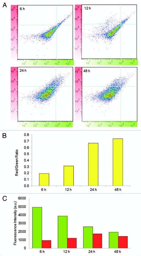 Flow cytometry analysis of isolated mitochondria. (A) cells were ...