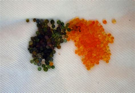 Orange-to-Green Color Indicating Loose Silica Gel Beads, 4 lbs ...