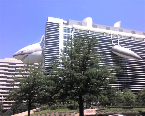 Shark Attacks Silver Spring! | Closer pic of the shark that … | Flickr