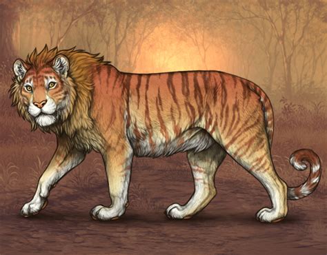 (Retired) Tigon Hype - Lioden Wiki