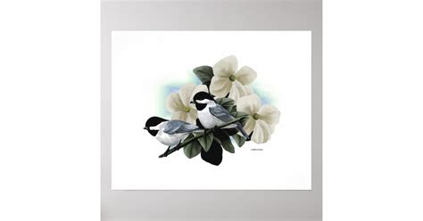 Black Capped Chickadee Art Poster | Zazzle