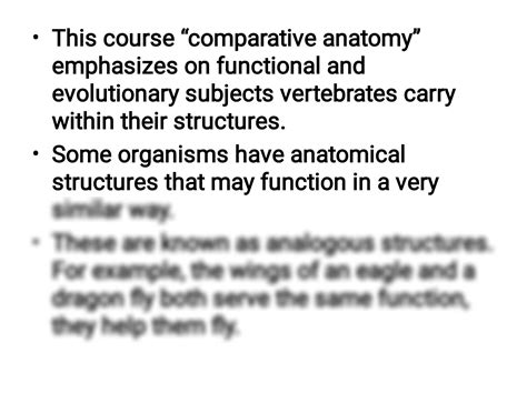 SOLUTION: Comparative anatomy of the brain - Studypool