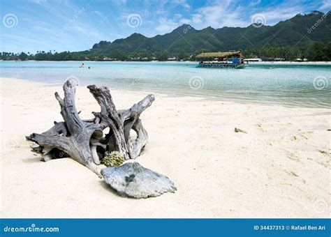 Muri Lagoon in Rarotonga Cook Islands Editorial Stock Photo - Image of outdoors, destinations ...