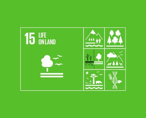 12 SDG Goal 15: Life on Land ideas | citizen science, bird migration ...