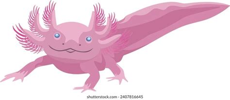 Little Cute Axolotl Pink Color Stock Vector (Royalty Free) 2407816645 ...