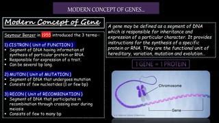 Regulation of gene expression | PPT