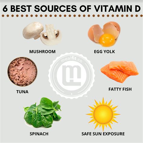 The 6 Best Sources of Vitamin D – MealFit