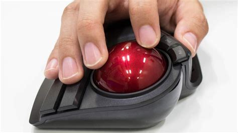 Trackball Mouse 2023 at Brandon Collins blog