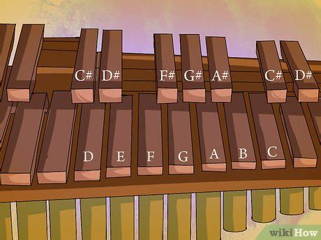 How to Play the Marimba (with Pictures) - wikiHow