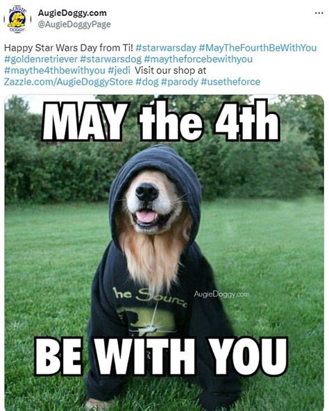 May The 4th Is Here! Star Wars Day Is Celebrated By Celebrity Fans