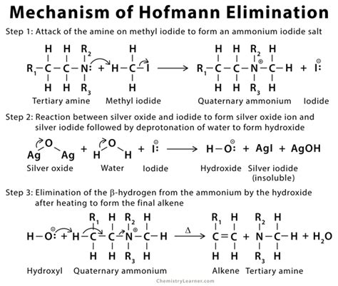 Hofmann Elimination: Definition, Example, and Mechanism