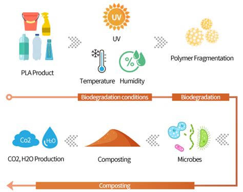 Biodegradation | 친환경 포장재