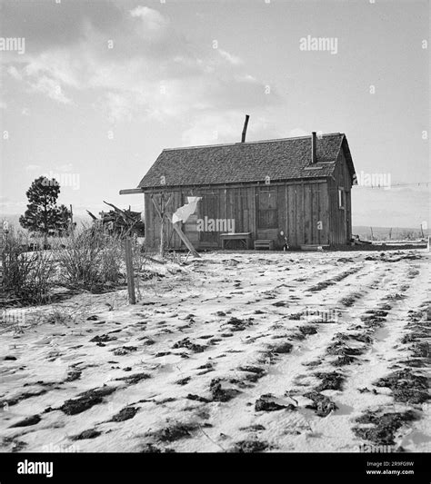 Photographer Dorothea Lange photographs America during and after the ...