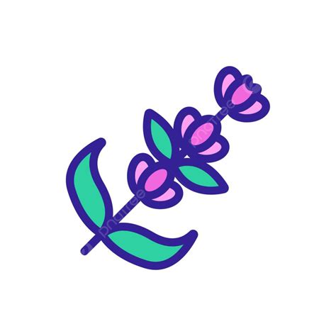 Lavender Flower Vector Art PNG, Lavender Flower Icon Vector, Art ...