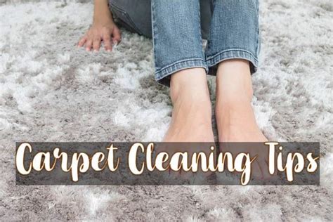 7 Carpet Cleaning Tips that Will Make Your Carpet Shine