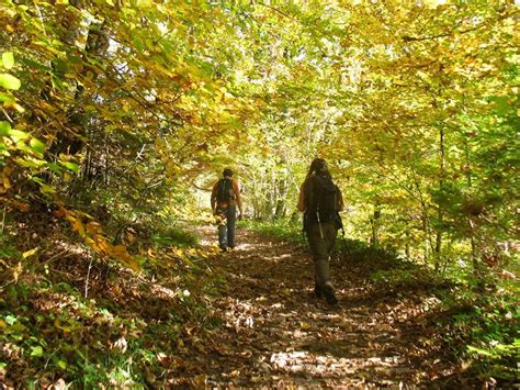 Black Forest National Park 7-day hiking tour. 7-day trip. UIMLA guide