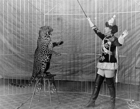 Picture Of Female Lion Tamer And Leopard