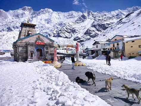 Kedarnath Trek 2024 | Kedarnath Yatra, Itinerary, Costs, Date | HH