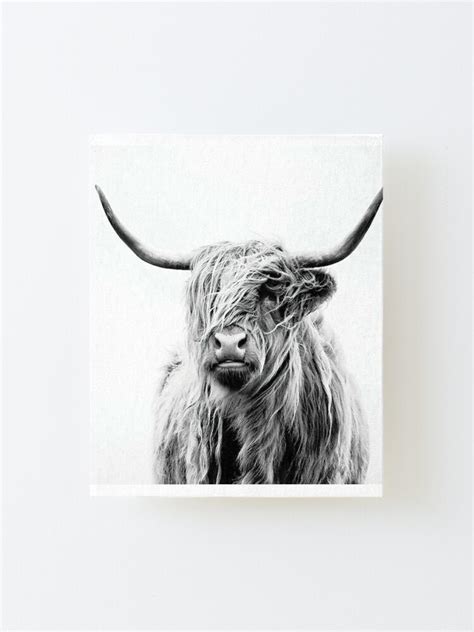 "Shaggy Highland Cow Black And White Ranch Decor Modern Trendy" Mounted ...