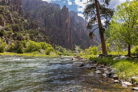 The Best Camping at Black Canyon of the Gunnison National Park ...