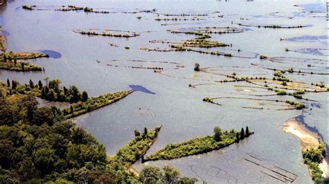 The Ghost Fleet of Mallows Bay | Amusing Planet