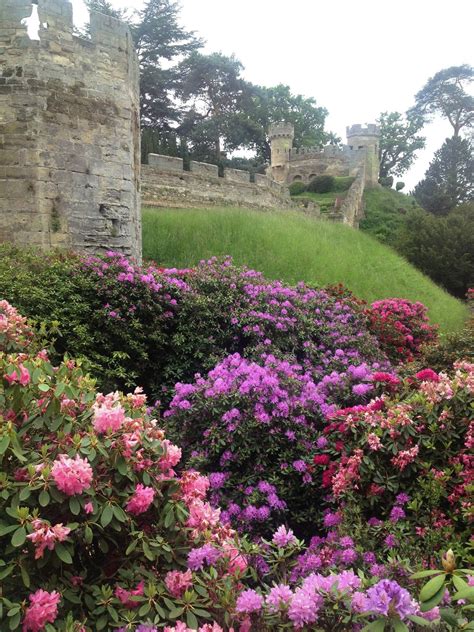 ~Taking a stroll thru these old, overgrown gardens near this castle ruins would be heavenly ...