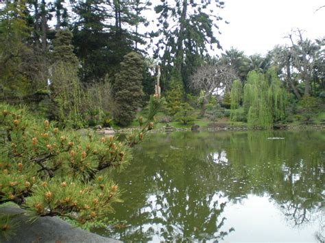 The Fern and Mossery: Lotusland: Japanese Garden