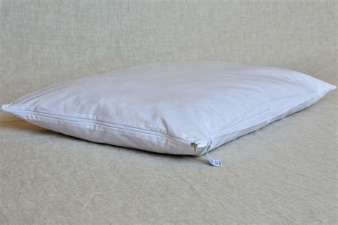 Belan 60x40cm – Flat pillow wool/natural latex - Biodom (en)