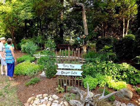 What Do Master Gardeners Do? | Piedmont Master Gardeners