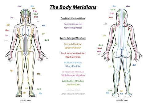 The Meridians — Rising Moon Tai Chi