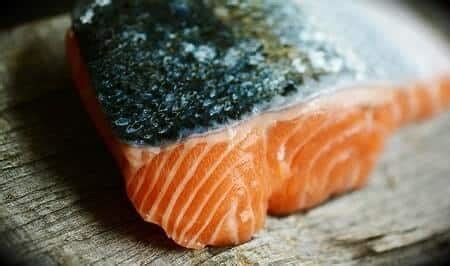 Can Cats Eat Salmon Skin? (Risks Explained)