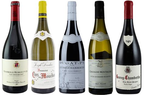 Best Burgundy 2018 premier cru wines - Decanter