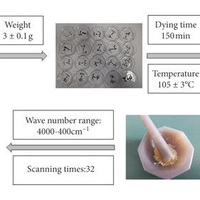 The sample preparation process and ATR-FTIR spectrum collection. | Download Scientific Diagram