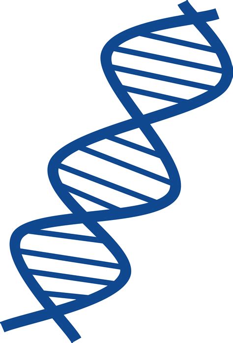 Dna Vector Art - ClipArt Best