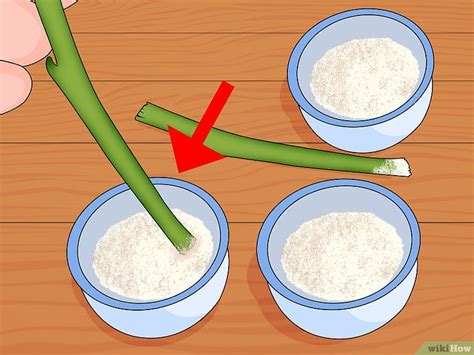 4 Ways to Make Homemade Hormone Rooting Powder or Tonic - wikiHow ...