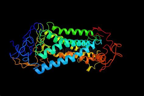 Neuropeptide Y Receptor Y1, a Protein Connected with Anti-obesity Drugs ...