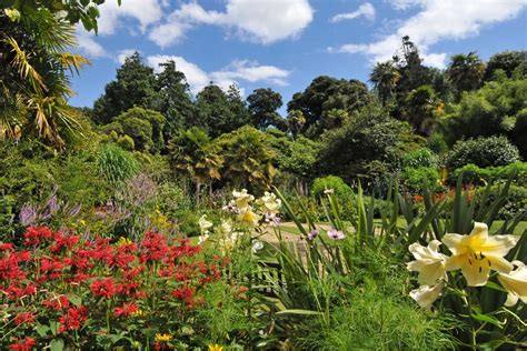 Abbotsbury Subtropical Gardens 2-for-1 entry - BBC Gardeners World Magazine