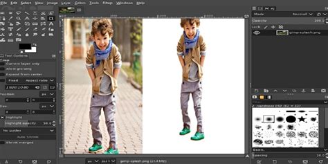 How To Remove Background In GIMP | GIMP Background Remove