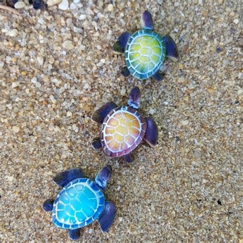 Mini Baby Turtles S/3 - Garden Sparkle