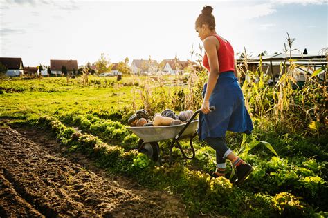 Organic Farming: History, Timeline, and Impact