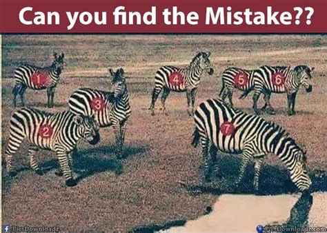 Can you find the Mistake in this Striped Animals Picture? | Brain teasers, Maths puzzles, Logic ...