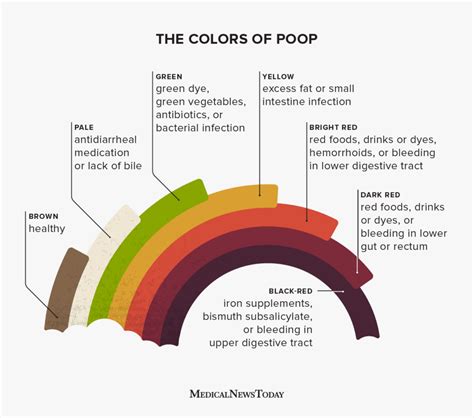 8 causes of yellow stool: What it means, treatment, and more